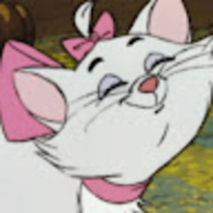 Meet your Posher, Kamryn